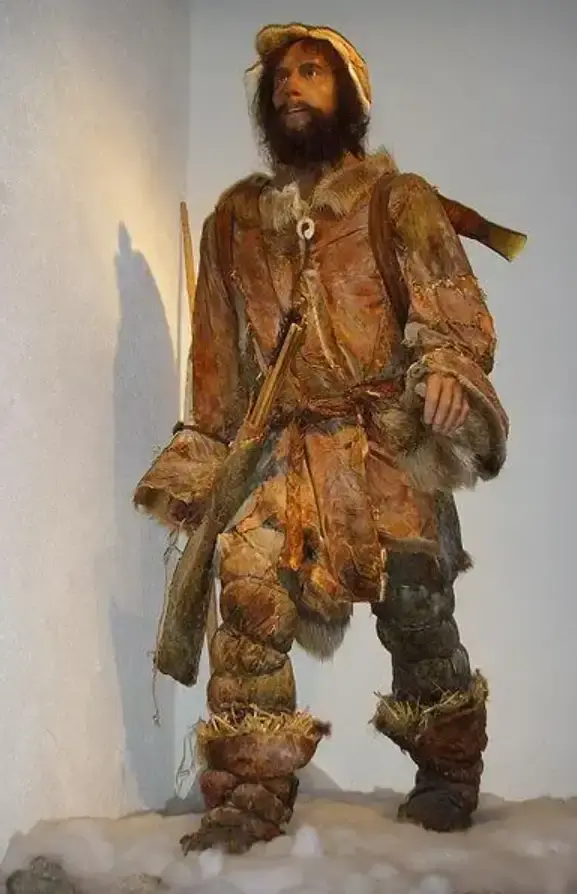 Restoration picture of Otzi before his death.jpg