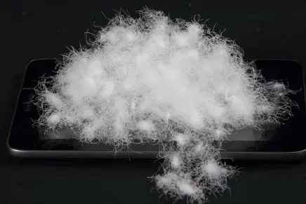 In-depth analysis of the degree of damage to down fibers by steam reduction method